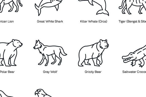 Predatory Animals Line Art Vector for Design and Education
